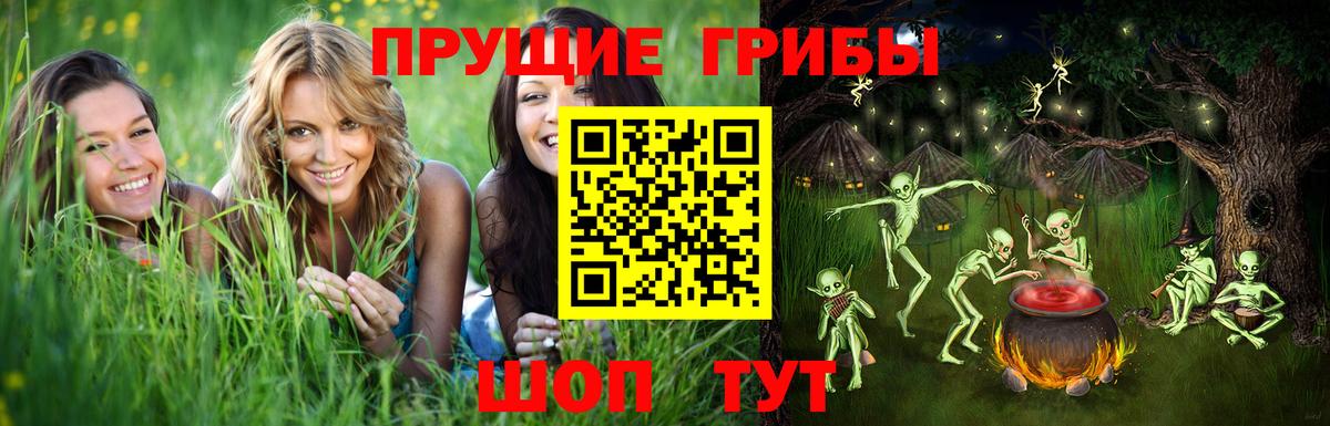 Альметьевск  Галлюциногенные грибы мицелий  наркошоп  Вход с VPN 